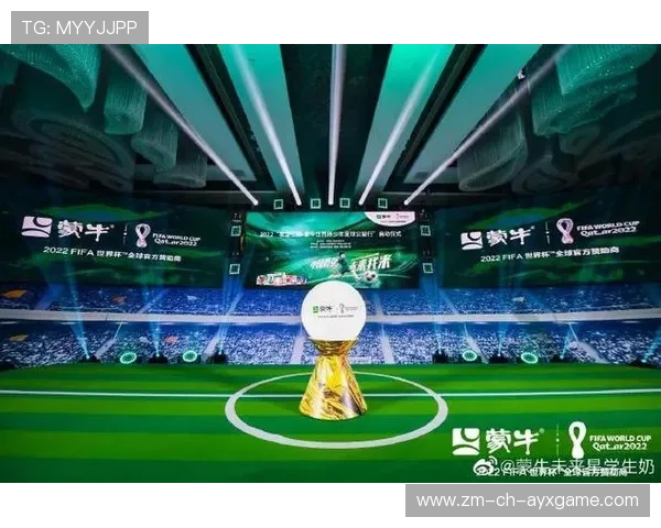 世界杯赛事公益项目助力社会和谐发展